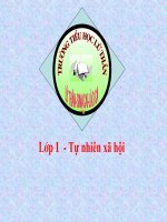 Bài giảng: Trời nắng ,trời mưa