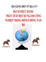 bài giảng địa lý 9 bài 34 thực hành phân tích một số ngành công nghiệp trọng điểm ở đông nam bộ