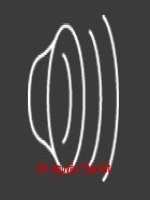 Lich su 5: On tap chin nam khang chien chong Phap ( 1945 - 1954)