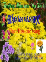 Thơ:Hoa cúc vàng