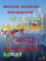 bài: cây sống ở đâu