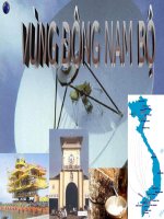 Vùng ĐNB (tiết 3)