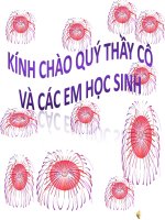 Bai 12 Thanh tuu KHKT