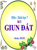 Bai 15 - Giun dat