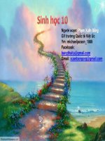 Bài 18. Chu kì tế bào và quá trình nguyên phân