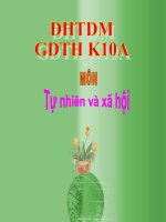 bài nhan biết cay coi va cion vat