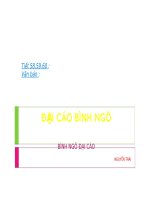 ĐẠI CÁO BÌNH NGÔ