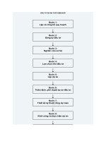 ĐẦU tư dự án THỦY điện NHỎ