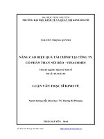 Nâng cao hiệu quả tài chính tại Công ty Cổ phần than Núi Béo VINACOMIN