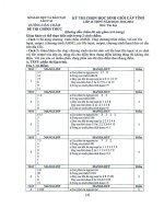 HDC HSG cấp tỉnh môn Tin học năm học 2011 - 2012