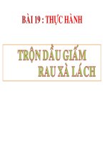 Bài 19: TRON DAU GIAM RAU XA LACH