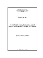 Tính bão hòa nguyên tố của một số môđun đối đồng điều địa phương Artin