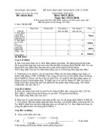 đề thi HSG cấp trường- có đáp án