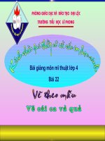 bài 22- vẽ ca và quả