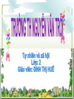 TN - XH: ĐƯỜNG GIAO THÔNG (Tuần 19)