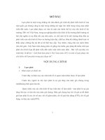 Tình hình lạm phát ở việt nam năm 2012 và một số giải pháp chủ yếu kiếm chế lạm phát trong giai đoạn tới   luận văn, đồ án, đề tài tốt nghiệp