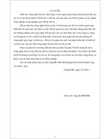 thuyết minh đồ án tay biên