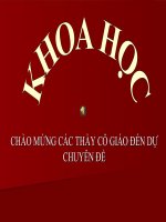 Bài 7: Từ vị thành niên đến tuổi già