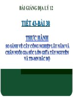 bài giảng địa lý 12 bài 38 thực hành so sánh cây công nghiệp lâu năm và chăn nuôi gia súc lớn giữa các vùng tây nguyên với trung du và miền núi bắc bộ