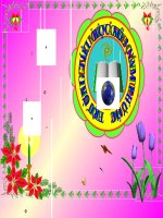 Ngu Công xã Trịnh Tường