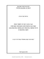 Phát triển tư duy sáng tạo cho học sinh khá giỏi trong dạy học giải phương trình, bất phương trình vô tỉ ở trường Trung học phổ thông