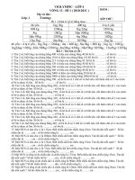 Đề thi và đáp án Violympic - v13- lớp 4 - 2010-2011