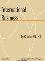 The strategy of international business