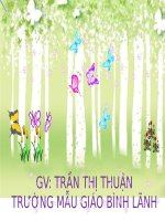 chuyện của cây hoa hồng