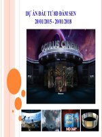 Slide thuyết trình dự án đầu tư rạp chiếu phim 8D