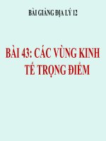 bài giảng địa lý 12 bài 43 các vùng kinh tế trọng điểm