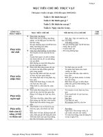 kế hoạch giảng dạy chủ đề Thực Vật Năm 2012