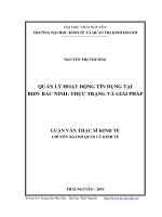 Quản lý hoạt động tín dụng tại BIDV Bắc Ninh. Thực trạng và giải pháp