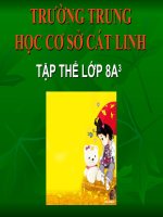 Thuyết minh về danh lam thắng cảnh Hồ Gươm