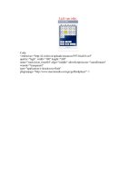 code lịch vạn niên