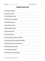 PASSIVE VOICE TEST 2