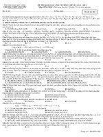 đề thi thử Hóa chuyên đại học Vinh