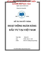 Tiểu luận môn QUẢN TRỊ NGÂN HÀNG HOẠT ĐỘNG NGÂN HÀNG  ĐẦU TƯ TẠI VIỆT NAM