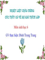 Rêu và cây rêu