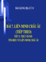 bài giảng địa lý 11 bài 7 liên minh châu âu (eu)