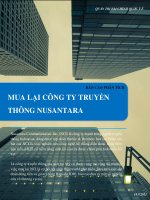 BÁO CÁO PHÂN TÍCH MUA LẠI CÔNG TY TRUYỀN THÔNG NUSANTARA