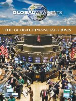 berlatsky (ed.) - the global financial crisis (2010)