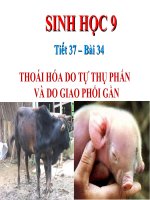Bài 34: Thoái hóa do tự thụ phấn hoặc giao phối gần