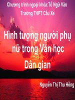 ngoai khoa hinh tuong nguoi phu nu trong van học viet nam