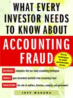 madura - what every investor needs to know about accounting fraud (2004)