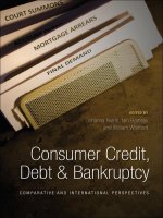 niemi (eds.) - consumer credit, debt & bankruptcy; comparative and international perspectives (2009)