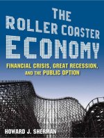 sherman - the roller coaster economy; financial crisis, great recession, and the public option (2010)