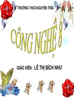 bai đồ dùng loại điện quang