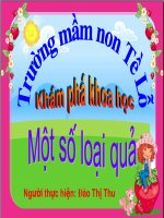 Giao an 1 so loại qua