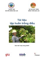 tài liệu tập huấn trồng điều