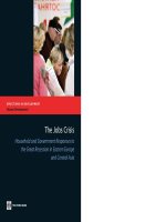 the jobs crisis; household and government responses to the great recession in eastern europe and central asia (wb, 2011)